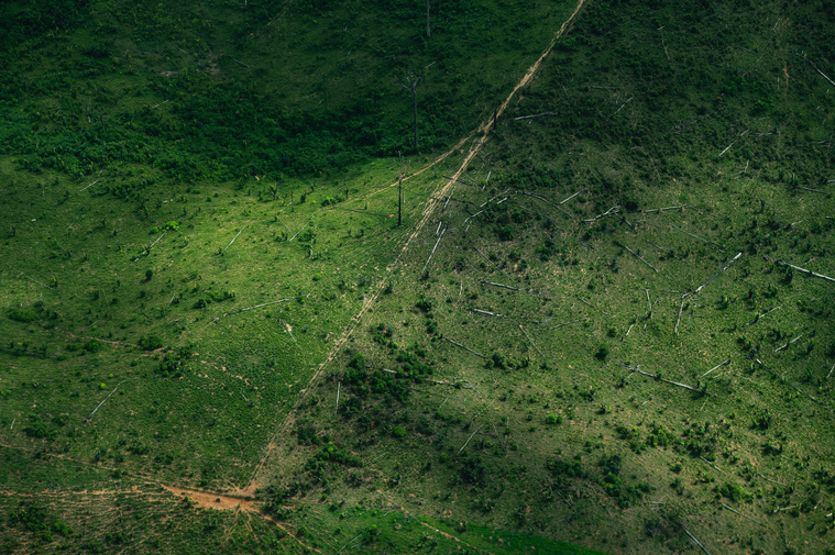 Carlos Fabal / AFP Carlos Fabal / AFP