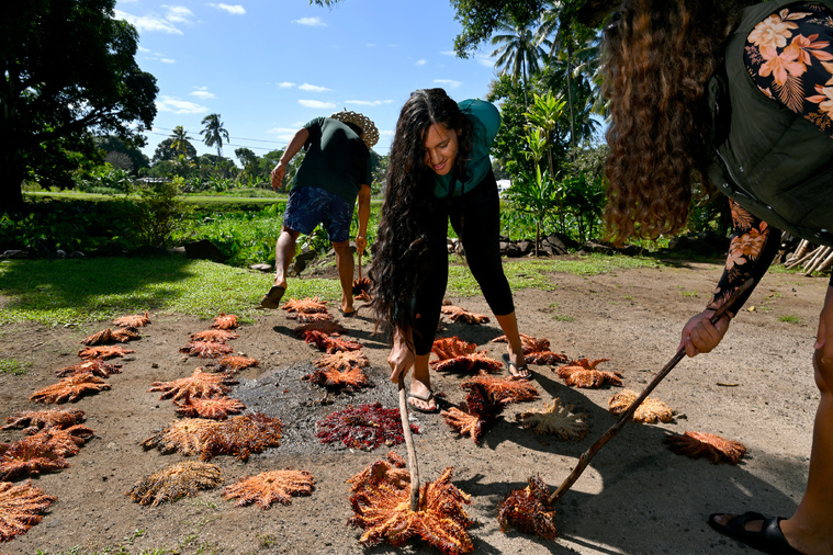 William WEST / AFP William WEST / AFP