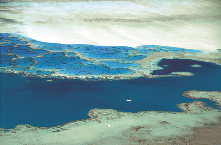 Deux petits bateaux sur une infinie palette de bleus Deux petits bateaux sur une infinie palette de bleus