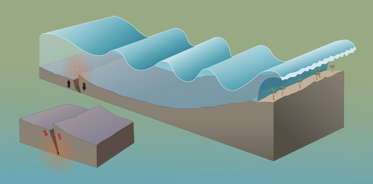 Le tsunami, un raz-de-marée d'origine sismique Le tsunami, un raz-de-marée d'origine sismique