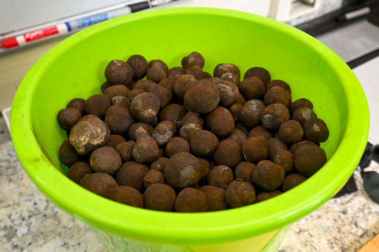 William WEST / AFP William WEST / AFP