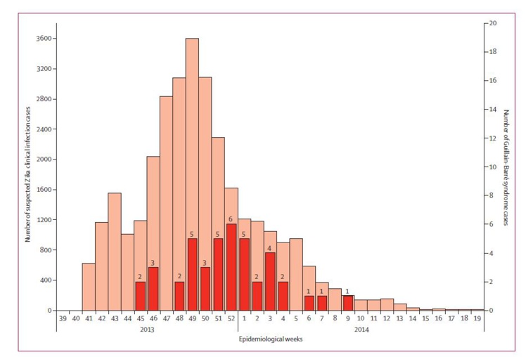 Nombre présumés de cas hebdomadaires d'infections par le virus Zika en comparaison avec le nombre de syndromes de Guillain -Barré en Polynésie française entre octobre 2013 et avril 2014. (Extrait de l'article paru dans la revue The Lancet).