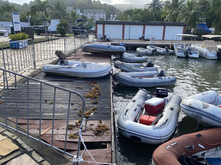 À la marina Taina, des annexes ont été projetées sur le ponton (Crédit : William Maurel). À la marina Taina, des annexes ont été projetées sur le ponton (Crédit : William Maurel).