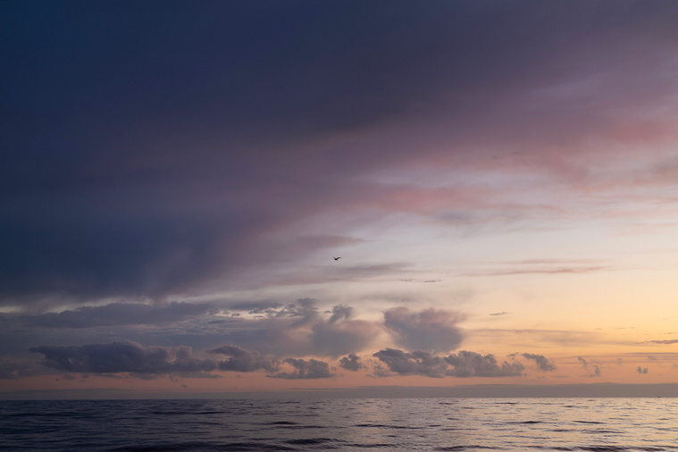 Fred TANNEAU / AFP Fred TANNEAU / AFP