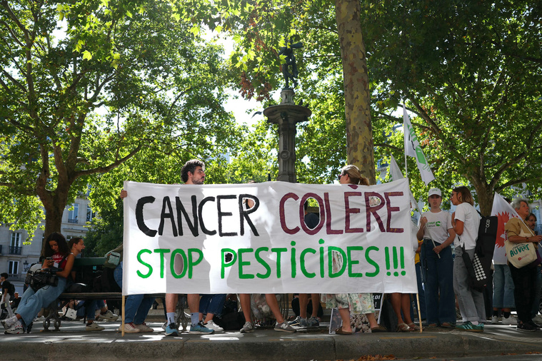 Thomas SAMSON / AFP Thomas SAMSON / AFP