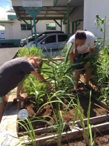 Un jardin partagé en plein cœur du centre-ville pour les familles nécessiteuses Un jardin partagé en plein cœur du centre-ville pour les familles nécessiteuses