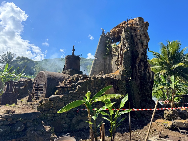 Le site était dissimulé sous la végétation (Crédit : DCP).