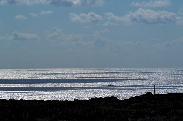 Crédit Tiziana FABI / AFP