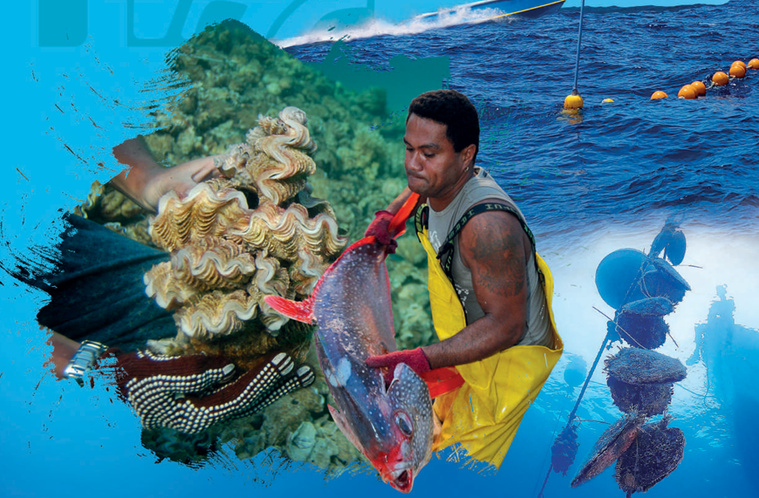 La pêche professionnelle (palangrière, côtière, lagonaire), l’aquaculture et la perliculture sont passées en revue (Source : Bulletin statistiques DRM 2024).