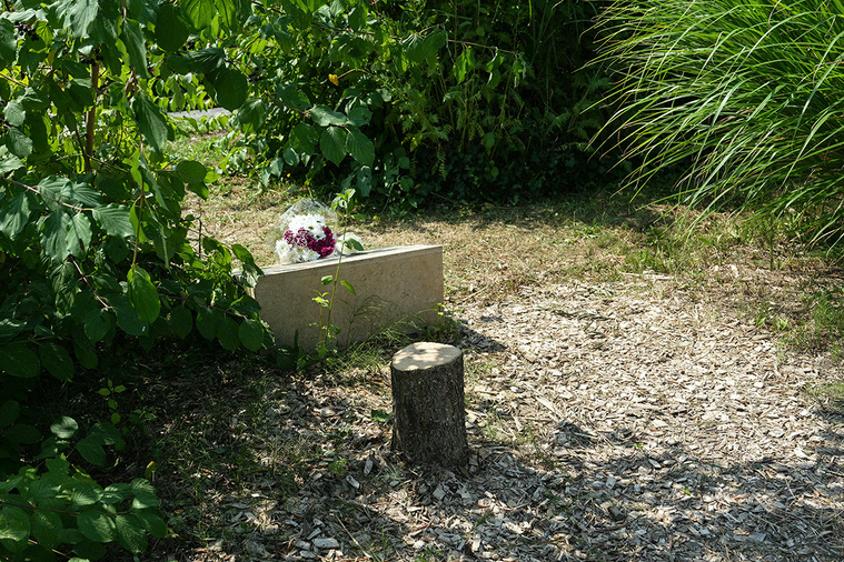 Dimitar DILKOFF / AFP Dimitar DILKOFF / AFP