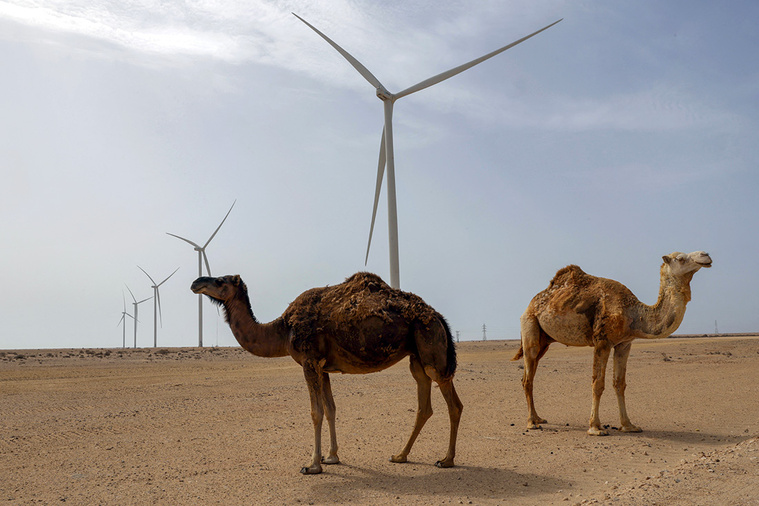 Crédit Abdel Majid BZIOUAT / AFP