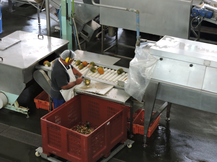 Une proposition de loi pour protéger l'emploi local