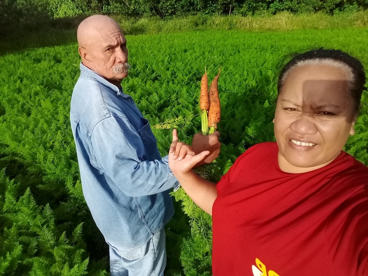 ​Les carottes de Tubuai sont arrivées