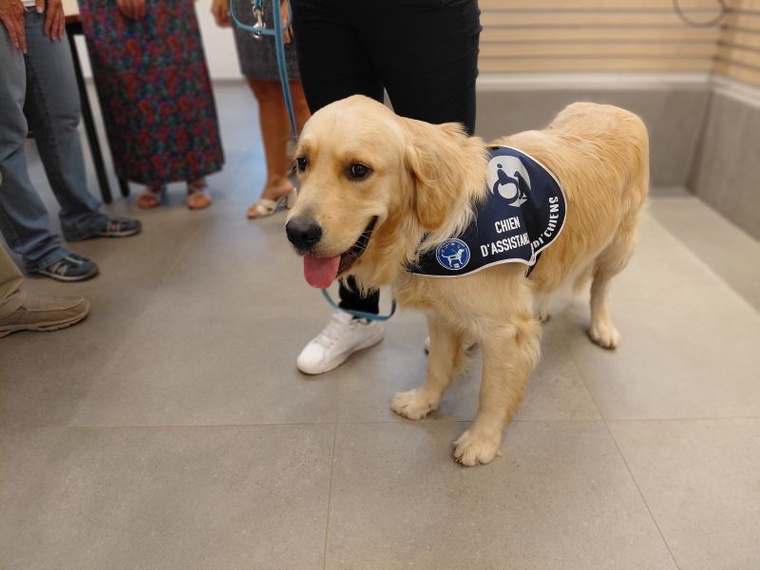 Ukyo, un chien aux côtés des victimes