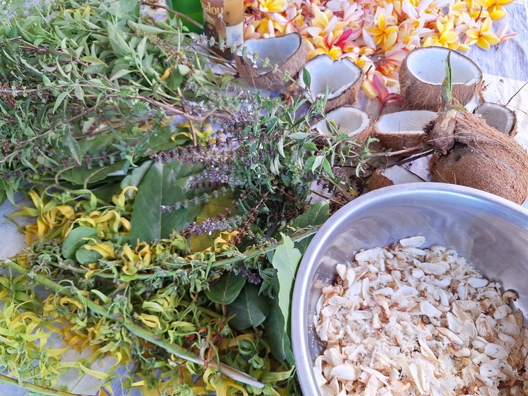 Les plantes et leurs vertus étaient à l’honneur, à commencer par le mono’i.