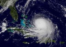 Epaves et arbres permettent de retracer le passage d'ouragans dans les Caraïbes