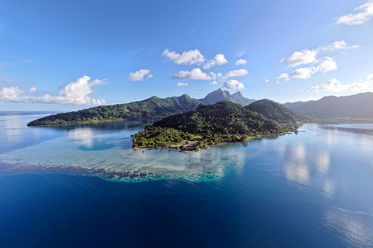 Qu’y a-t-il derrière le projet Mantas de Polynésie ?