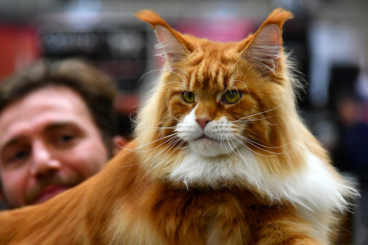 Alberto PIZZOLI / AFP Alberto PIZZOLI / AFP