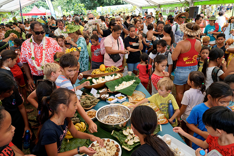 Le cocotier reçoit les palmes d’honneur à Raiatea Le cocotier reçoit les palmes d’honneur à Raiatea