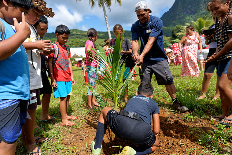 Le cocotier reçoit les palmes d’honneur à Raiatea Le cocotier reçoit les palmes d’honneur à Raiatea