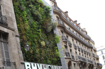 Avec des "Paris-culteurs", Paris veut végétaliser ses murs et faire pousser des légumes Avec des "Paris-culteurs", Paris veut végétaliser ses murs et faire pousser des légumes