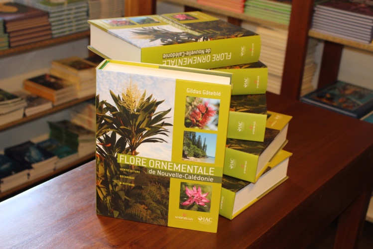 Sept cents belles plantes mises à nu Sept cents belles plantes mises à nu