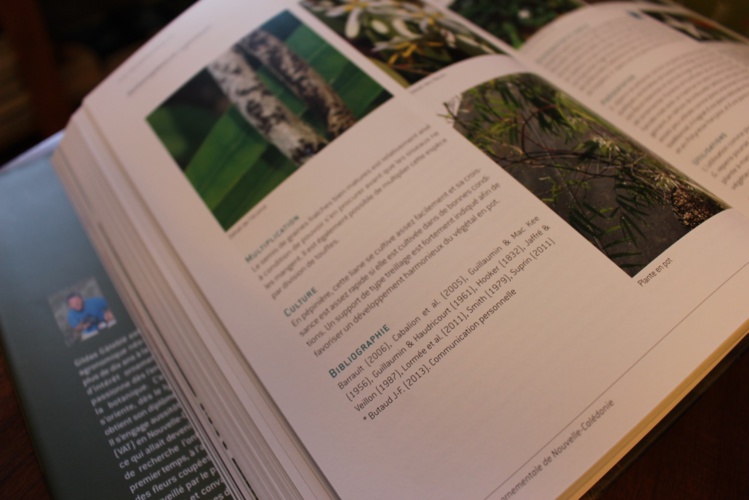 Sept cents belles plantes mises à nu