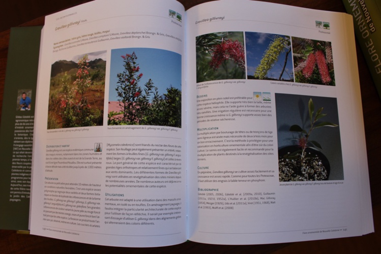 Sept cents belles plantes mises à nu Sept cents belles plantes mises à nu