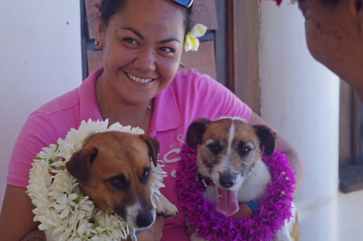 Lutte contre le rat noir : six mois de travail pour Dora et Wisky 