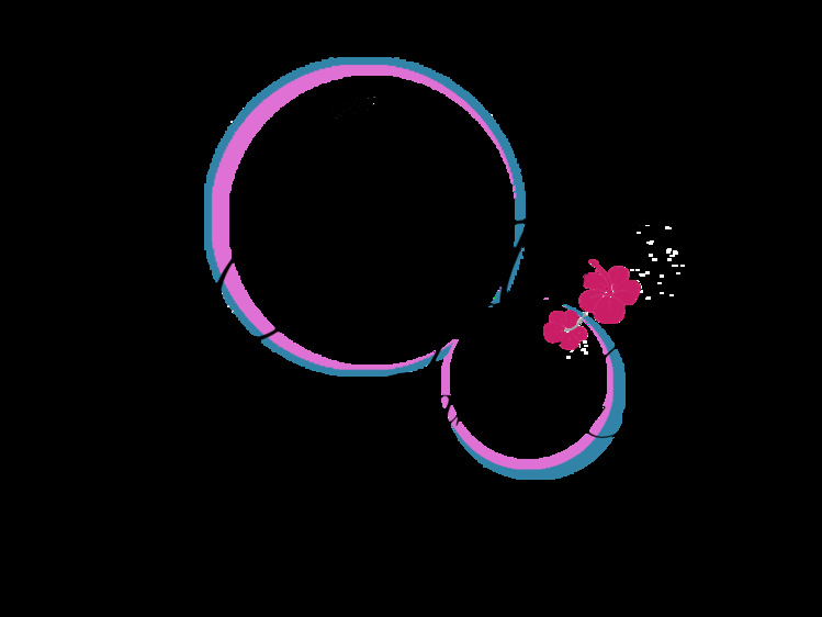 Les "Purotu e Tane U'i 'Api 2016" élus samedi