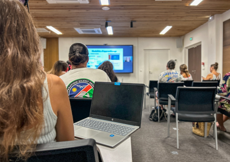 Sur plus de trois mois, la formation se concentre sur trois compétences: trouver des idées, écrire et réécrire et vendre son projet.