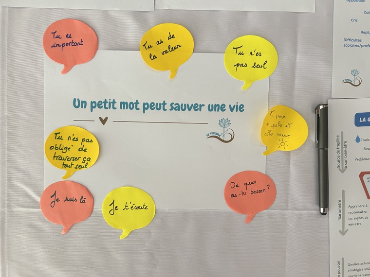 Si les décès restent stables (une trentaine par an), la détresse, elle, continue de croître en Polynésie.