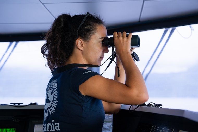 En seulement un mois, l'association Oceania a fait état de 264 observations de cétacés entre Tahiti et Moorea.