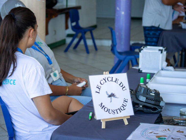 Si la phase de Paea est concluante, l’opération pourrait être étendue à d’autres communes de Tahiti.  ©DM