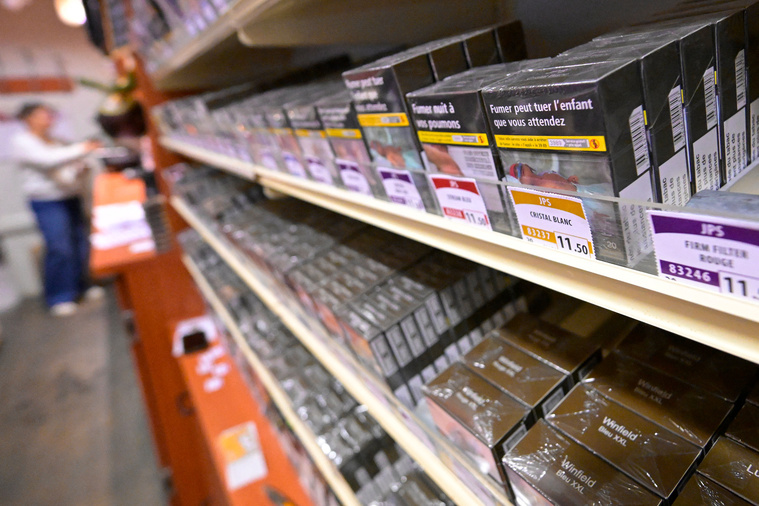 Damien MEYER / AFP Damien MEYER / AFP