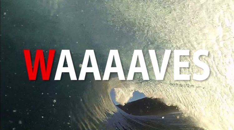 Sport, environnement, divertissement… TNTV fait le plein de nouveautés 100 % locales !