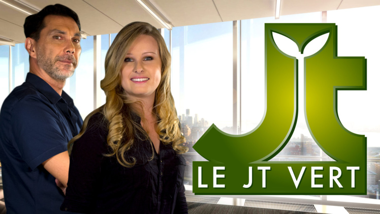 Sport, environnement, divertissement… TNTV fait le plein de nouveautés 100 % locales !