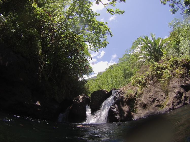 Fermeture exceptionnelle du parc de Te Faaiti jusqu’au 20 mars Fermeture exceptionnelle du parc de Te Faaiti jusqu’au 20 mars