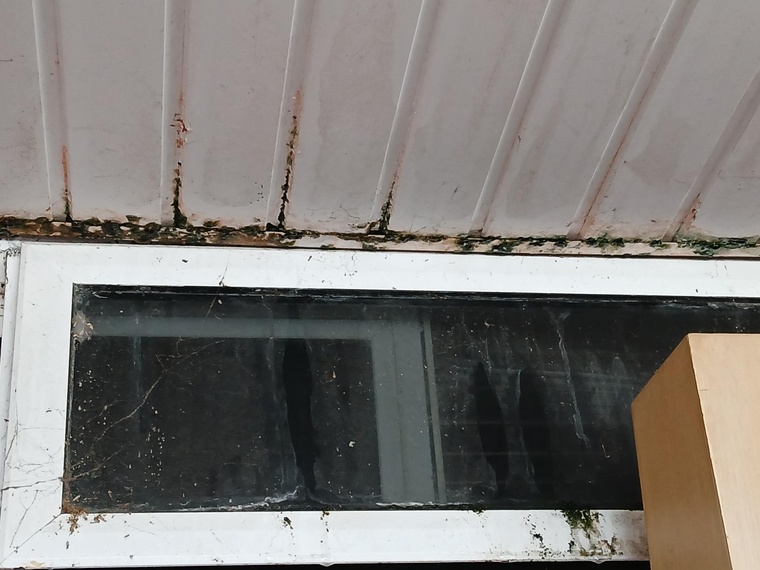 “Voilà le taudis” “Voilà le taudis”