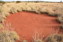Insolite: des "cercles de fées" découverts en Australie