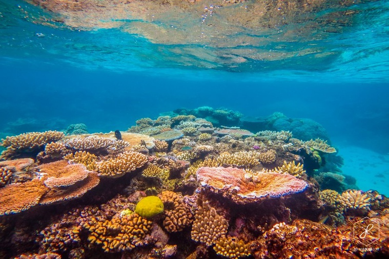 Sept "limites planétaires" franchies sur neuf, avec l'acidité des océans