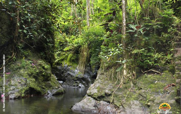 Réouverture de la Vallée de la Fautaua Réouverture de la Vallée de la Fautaua