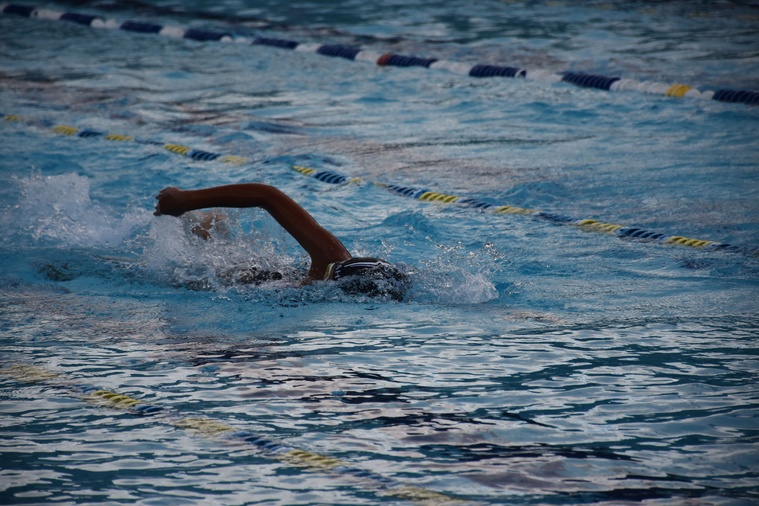 La nage libre, sous la forme de crawl, est la plus représentée. La nage libre, sous la forme de crawl, est la plus représentée.