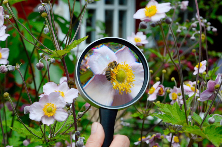 Crédit Roberto Pfeil / dpa / AFP Crédit Roberto Pfeil / dpa / AFP
