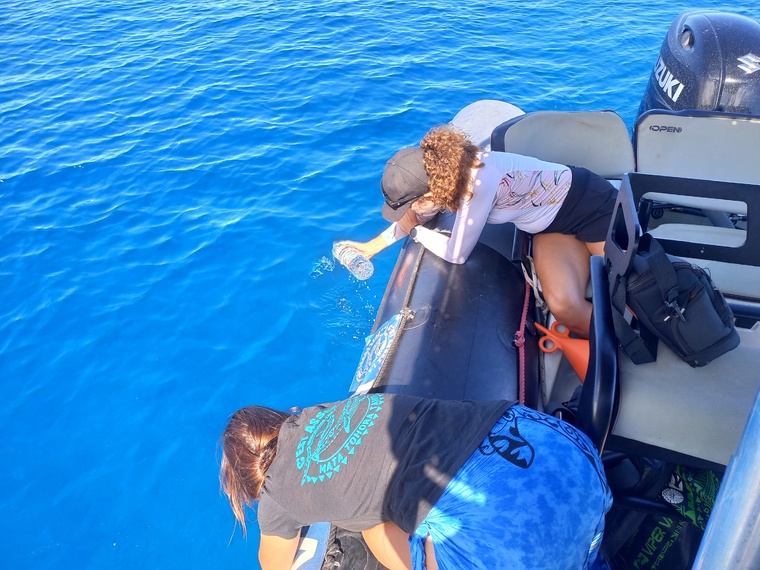Prélèvement d’eau de mer pour récolter des échantillons d’ADN.