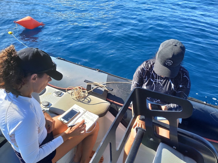 Laura Miralles et Patricia Arranz-Alonso en plein travail.