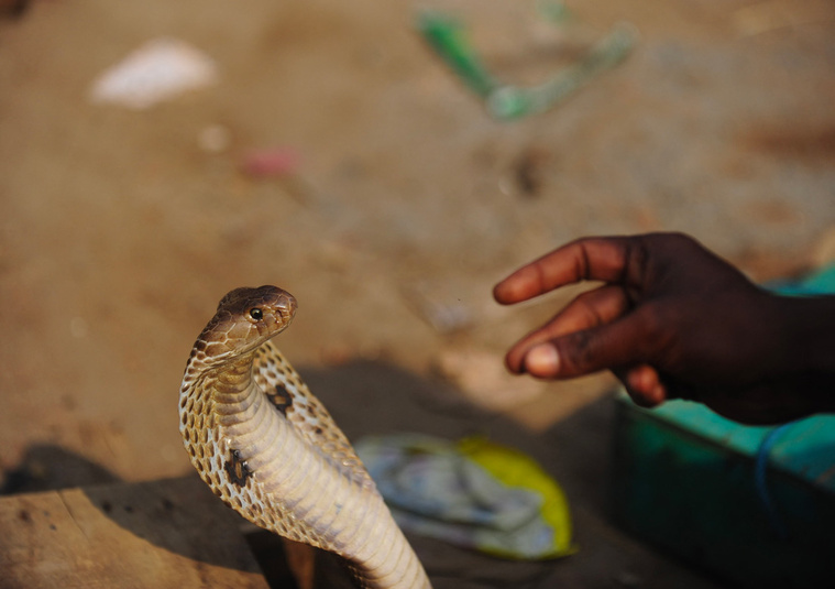 Crédit Munir UZ ZAMAN / AFP Crédit Munir UZ ZAMAN / AFP