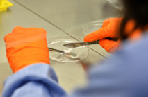 Photo d'illustration. Photo d'illustration.