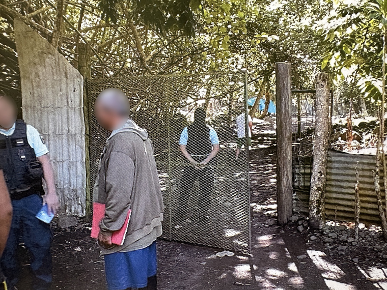 Le ras-le-bol d'un apiculteur de Paea