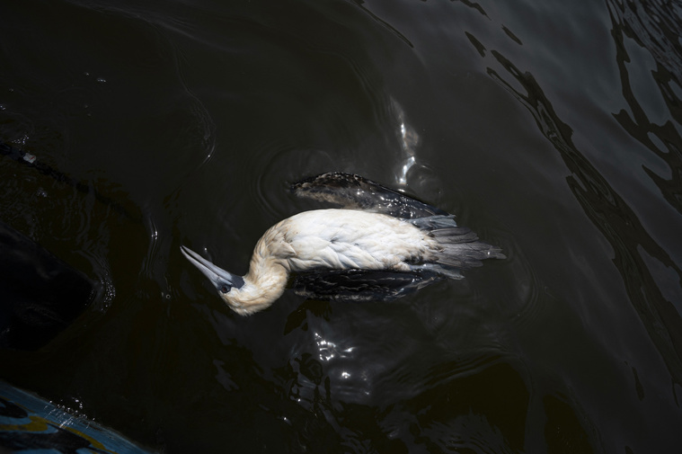 Cris BOURONCLE / AFP